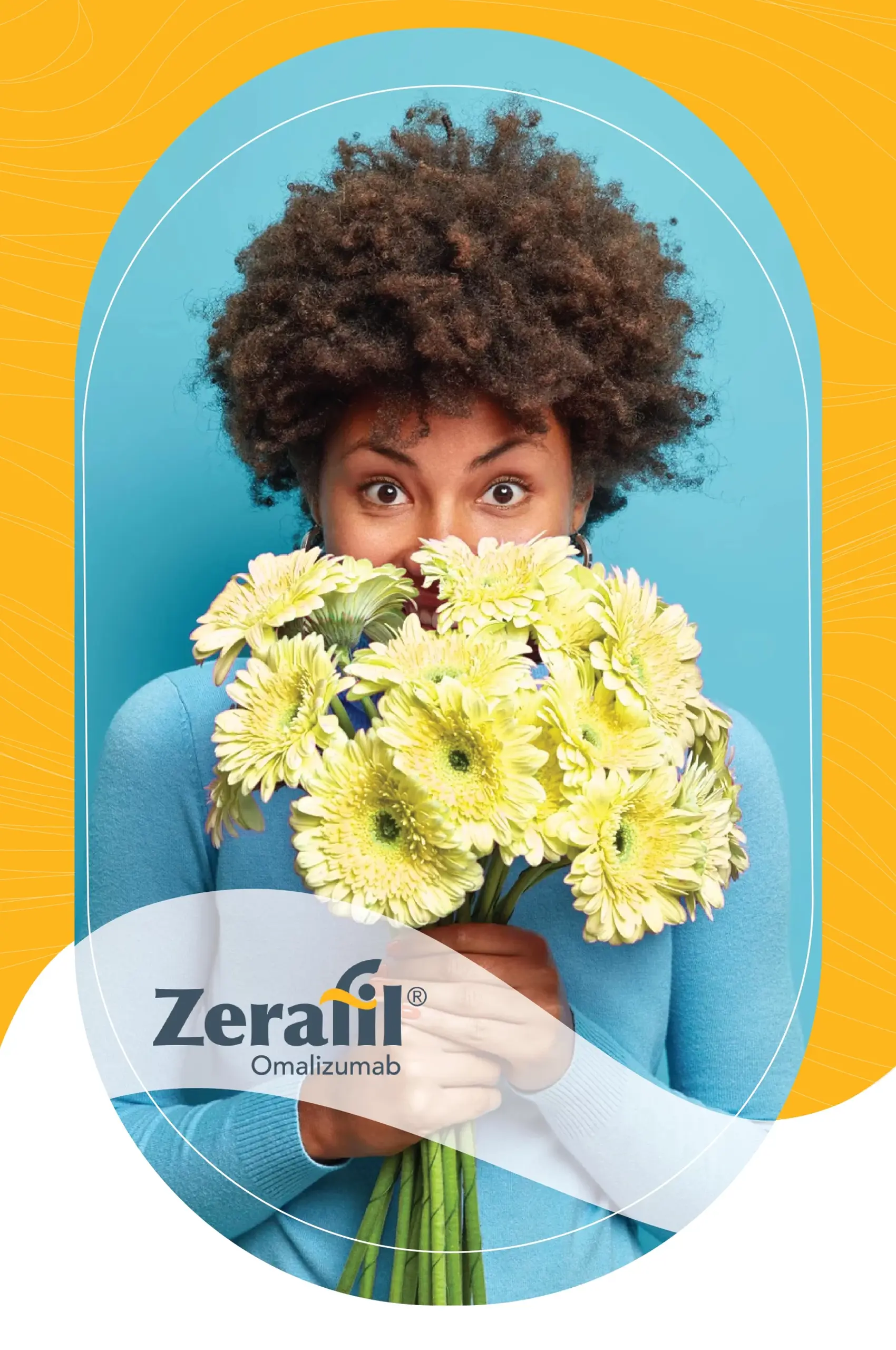 zerafil-01-scaled-1.webp